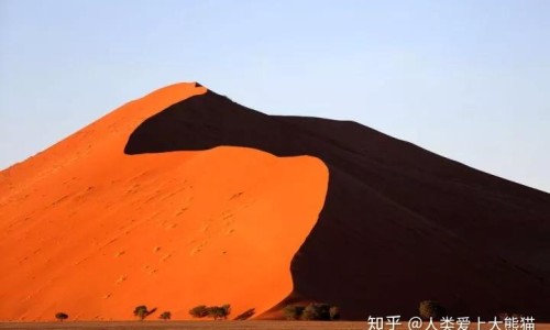 脸上长囊肿型痘痘原因-脸上长囊肿型痘痘网 - 网站提供脸上长囊肿型痘痘擦什么药小常识、脸上长囊肿型痘痘有大硬块疼